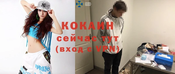 винт Пересвет