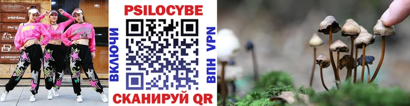 OMG рабочий сайт  Вихоревка  Галлюциногенные грибы Psilocybine cubensis 